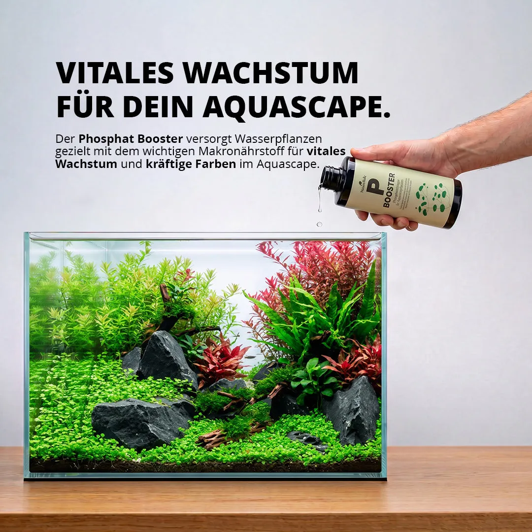 NatureHolic P Booster Phosphat Aquariumdünger flüssig Mangel