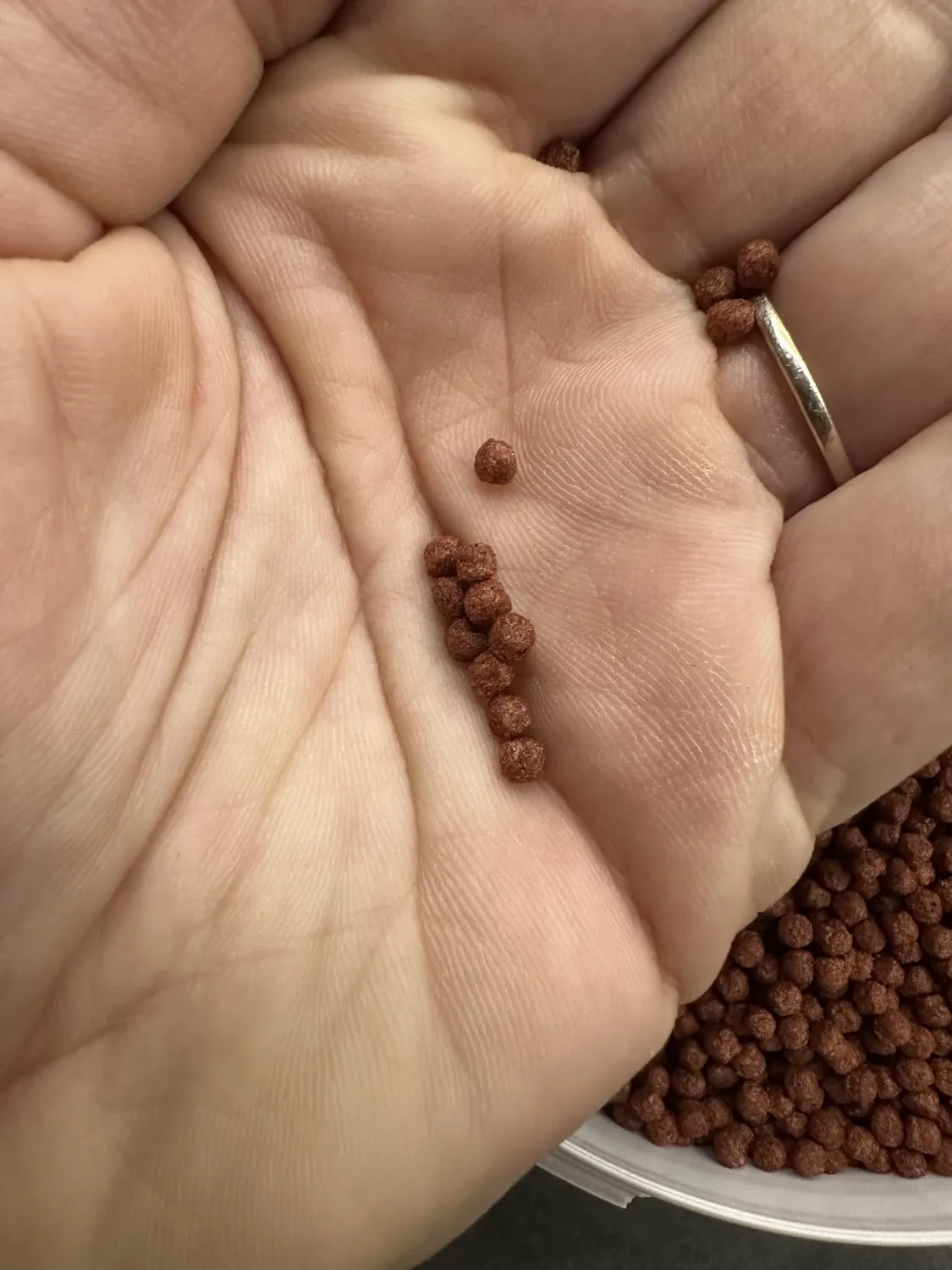 AQUARIS Goldfischfutter Pellets 3 mm 500 g Astaxanthin