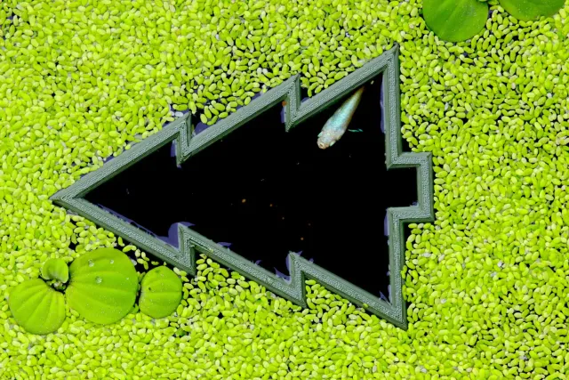 NatureHolic Schwimmpflanzen Portal Christmas Tree Futterring Größe M Tanne