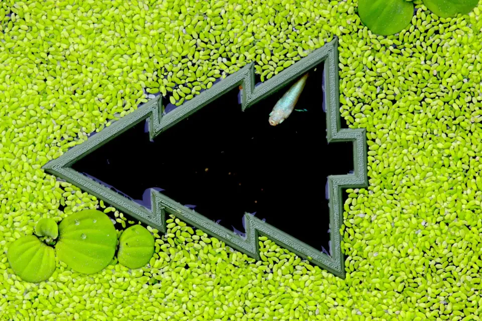 NatureHolic Schwimmpflanzen Portal Christmas Tree Futterring Größe M Tanne