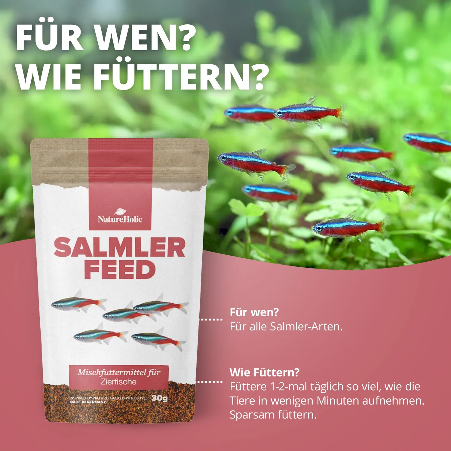 NatureHolic SalmlerFeed Fischfutter 30 g Granulat mit Spirulina