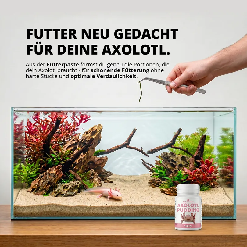 NatureHolic Axolotl Pudding Futterpaste formbar Protein