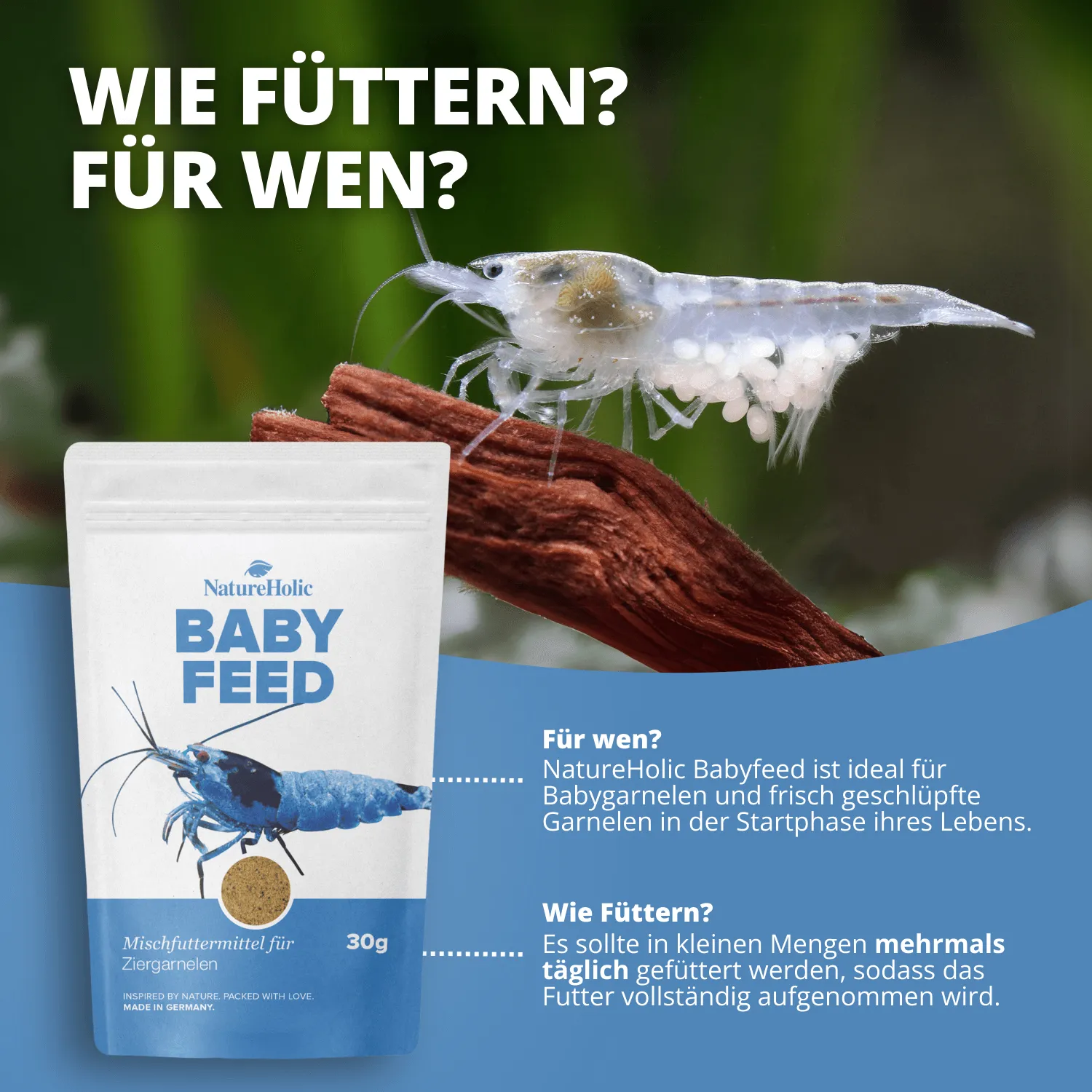NatureHolic Babyfeed Garnelen-Aufzuchtfutter Staubfutter 30g mikrofein