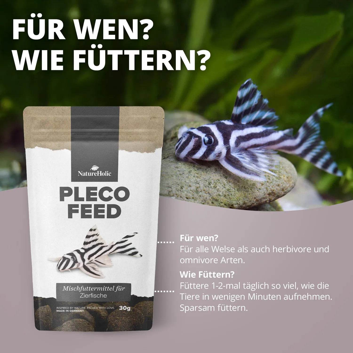 NatureHolic Welsfeed Welstabs 30g Welsfutter proteinreich