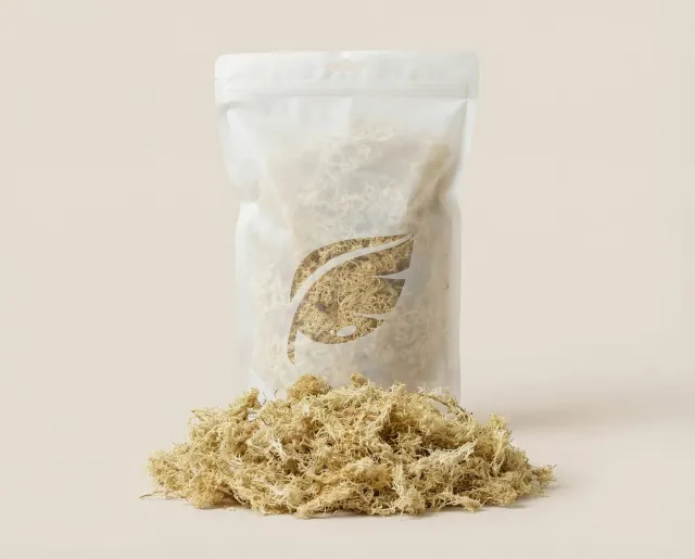 NatureHolic Sphagnum Moos Terrarium Substrat 1 Liter