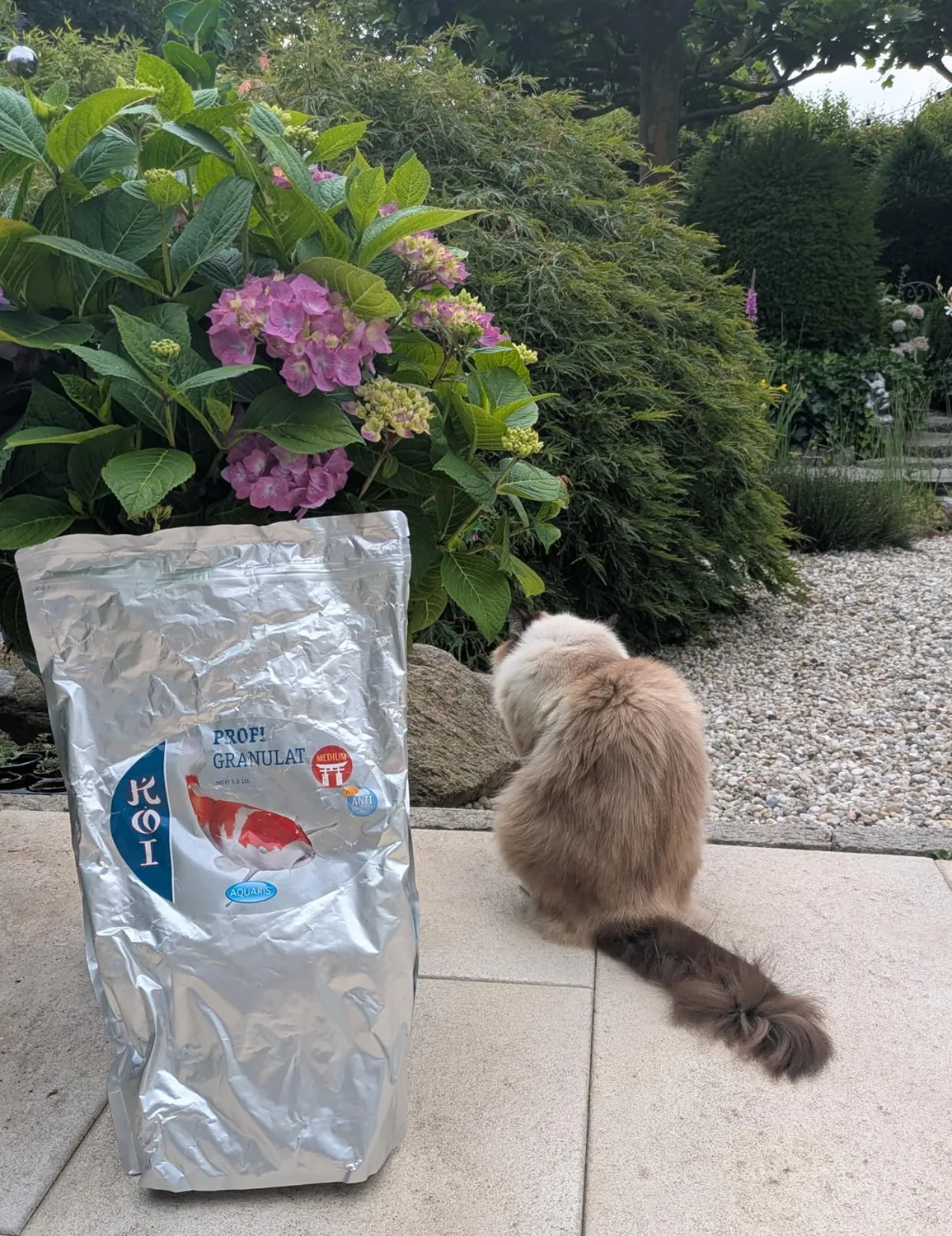 AQUARIS Koi Profigranulat Koifutter 1960 g Spirulina