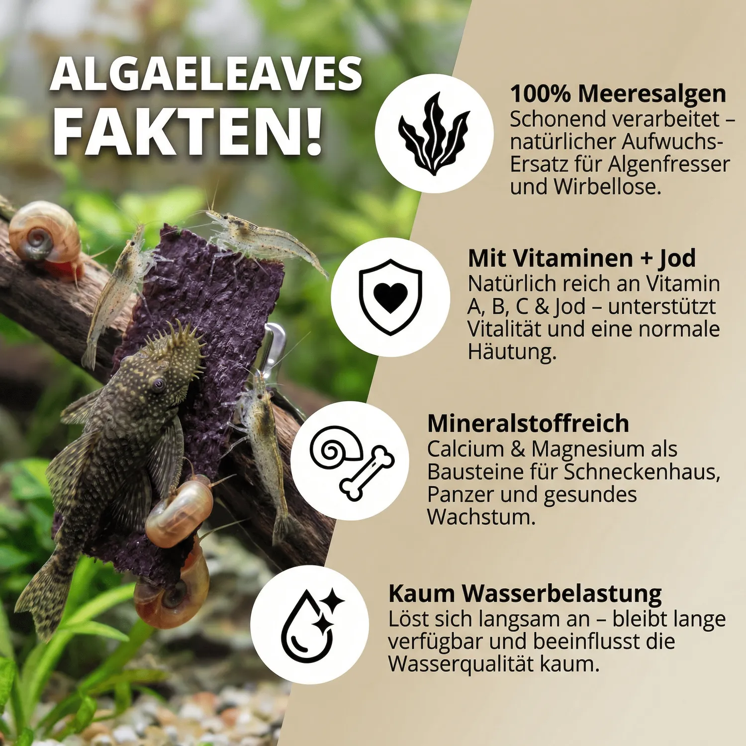 NatureHolic AlgaeLeaves Algenblätter 50 Stück Jod