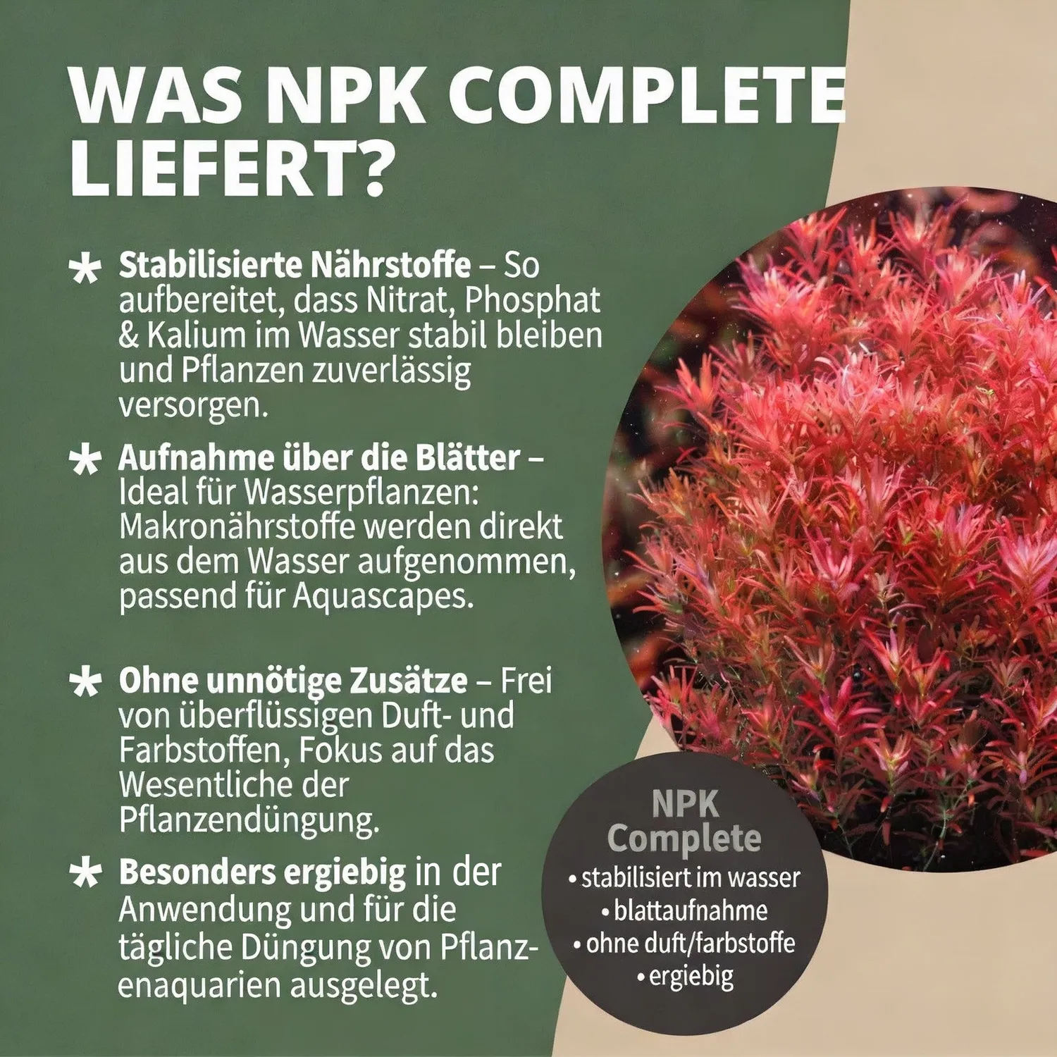 NatureHolic NPK Complete Volldünger Aquarium flüssig Makro