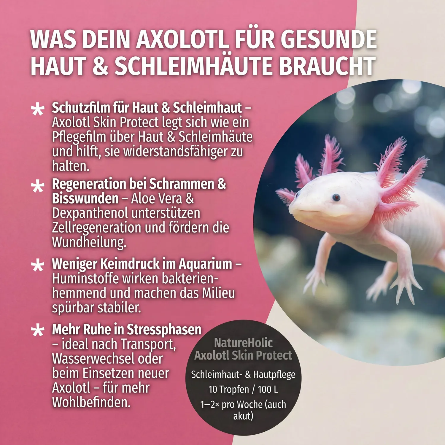 NatureHolic Axolotl Skin Protect Wasserzusatz 125ml mit Aloe Vera