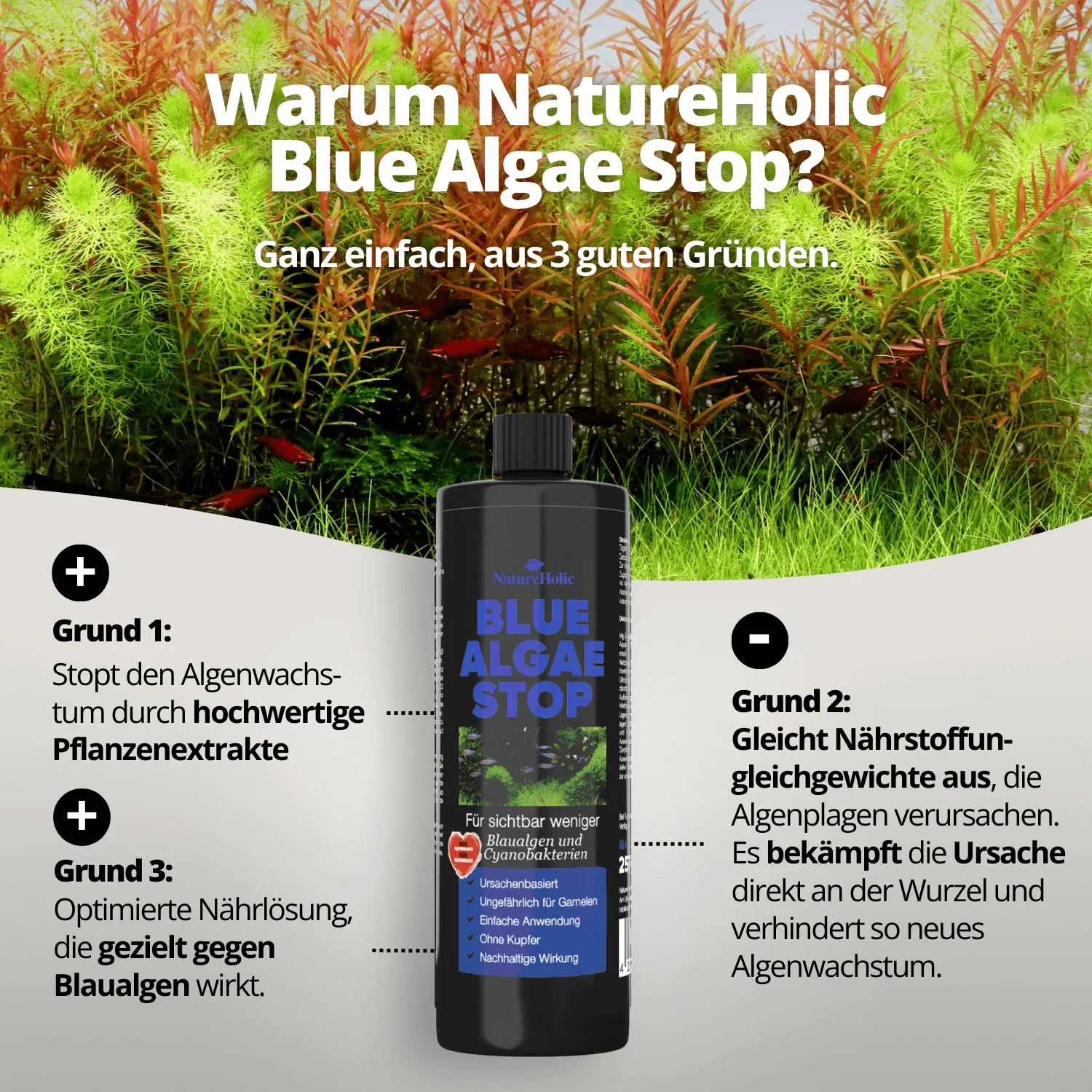 NatureHolic Blue Algae Stop Blaualgenentferner 250 ml