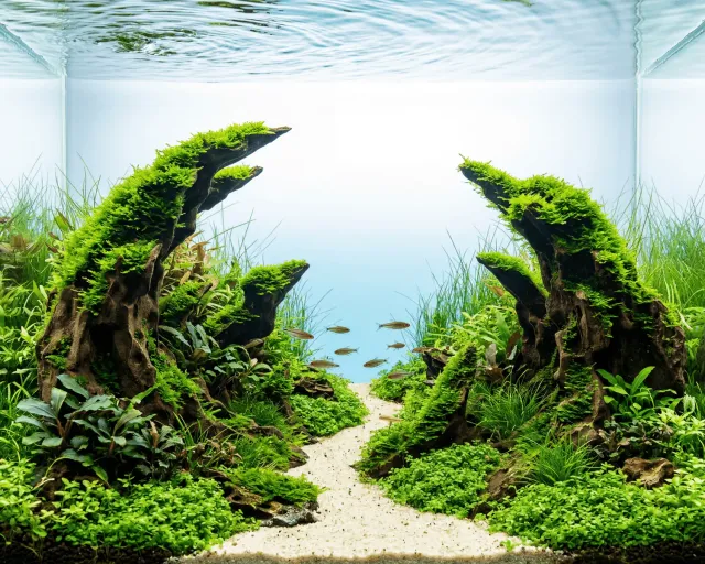 NatureHolic Ready to Scape Dragon's Gate 60 Felsen 2er-Set