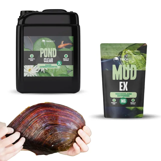 NatureHolic Teichzeit MudEx Pond Clear Reinigungsset Teichmuschel