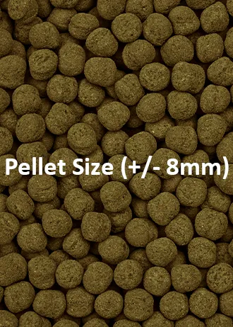 Ocean Nutrition Formula Two Pellets Meerwasser Spirulina