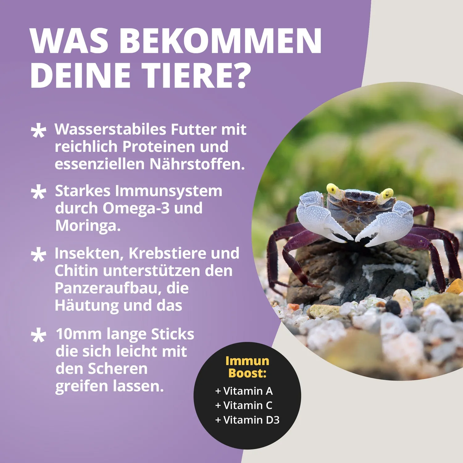 NatureHolic Krabbenfeed Krabbenfutter 30 g Sticks Chitin