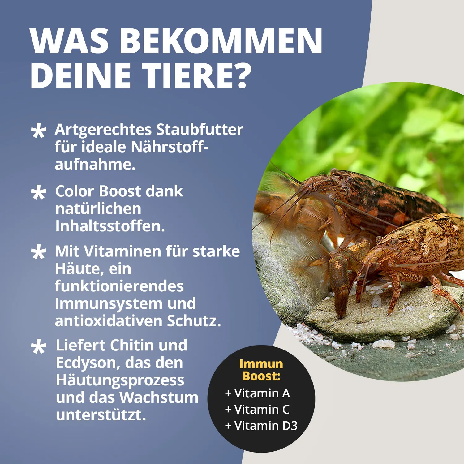 NatureHolic Fächerfeed Fächergarnelenfutter Staubfutter 30 g