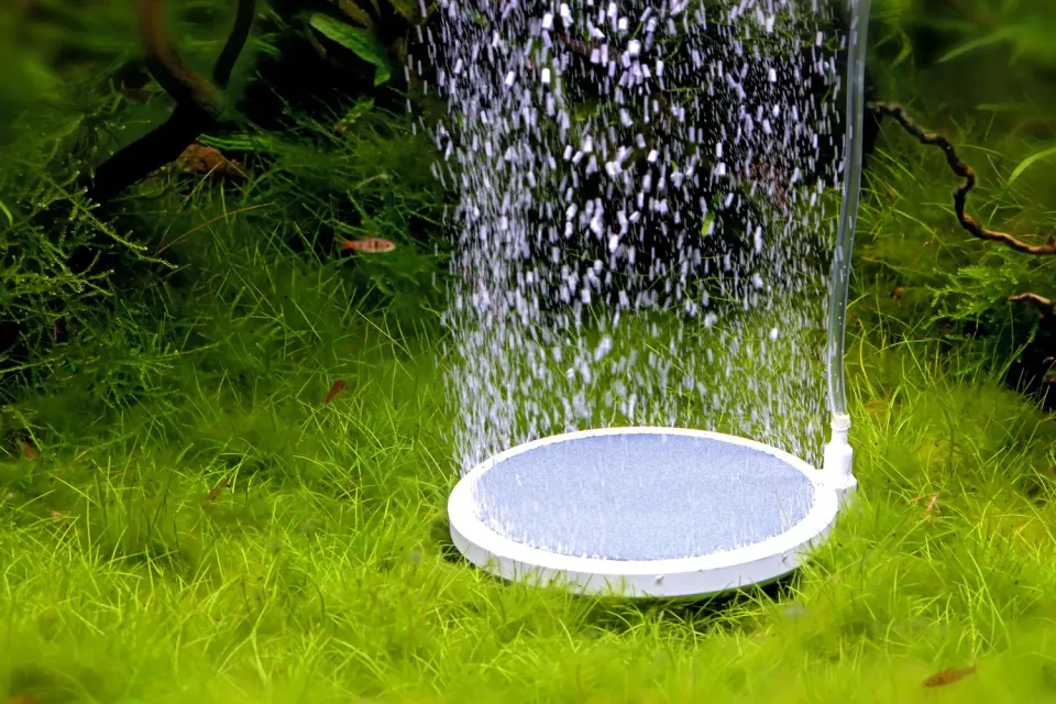NatureHolic Bubble Disc Ausströmerstein Sauerstoff Teller