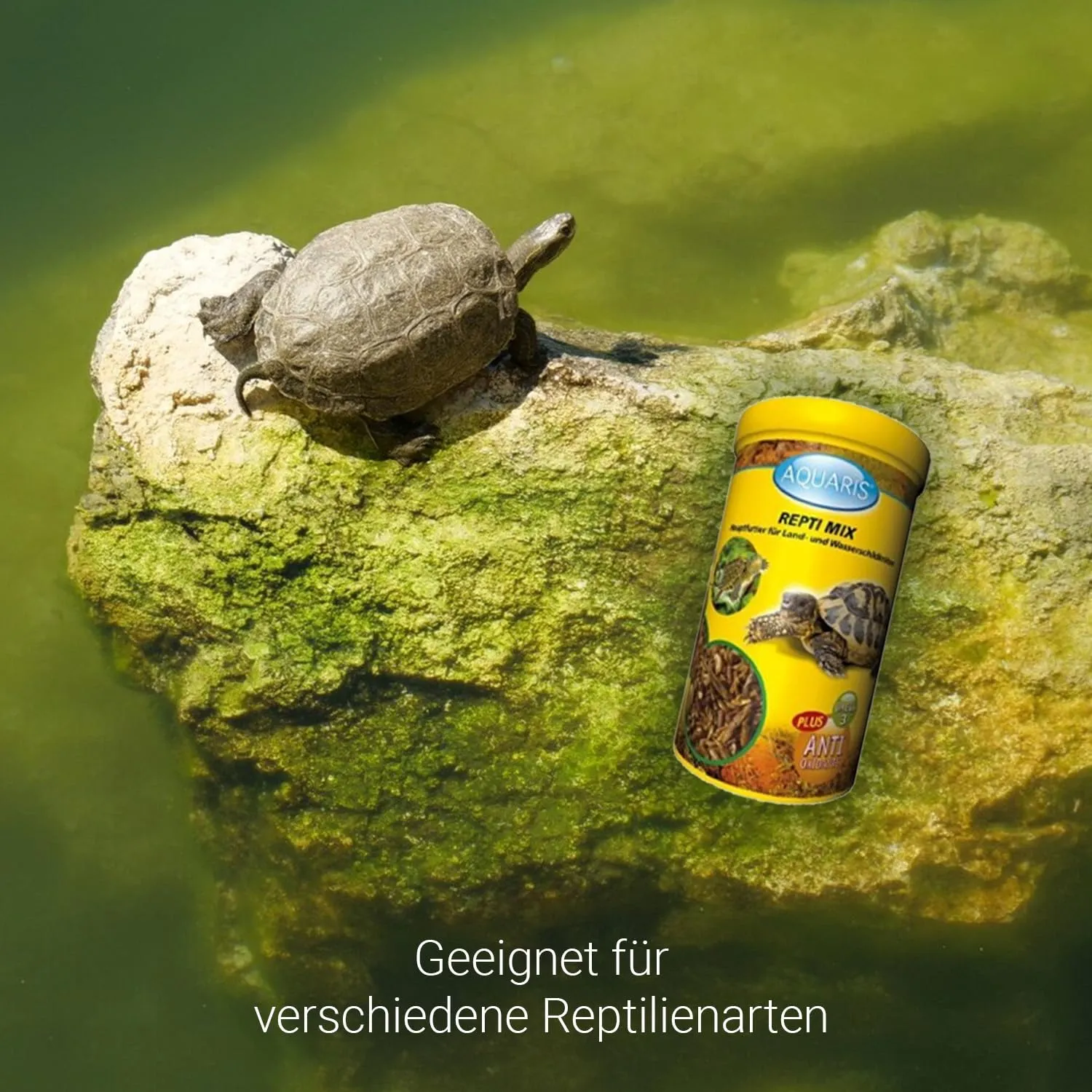 AQUARIS Repti Mix Schildkrötenfutter 55 g mit Gammarus
