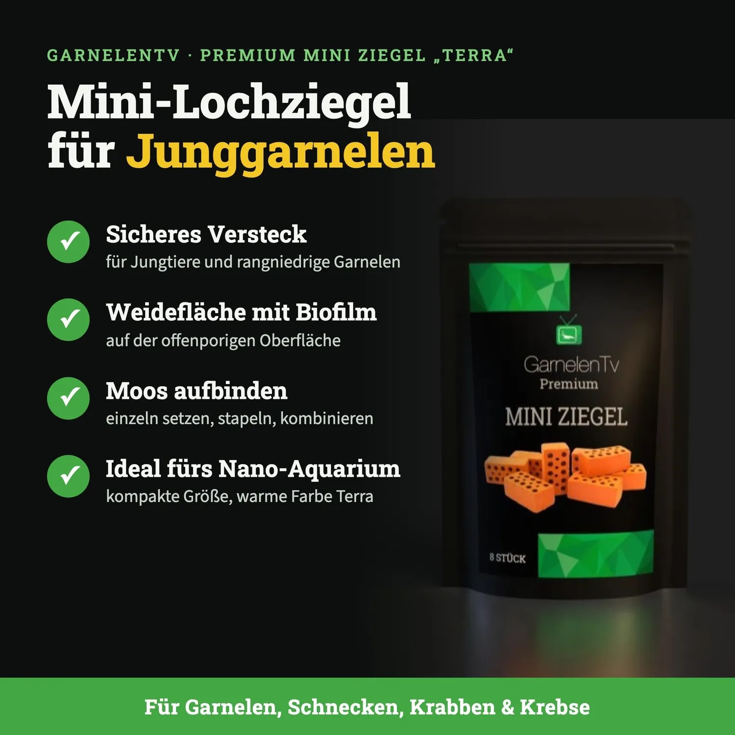 GarnelenTv Premium Mini Ziegel Terra Deko 8 Stück Versteck