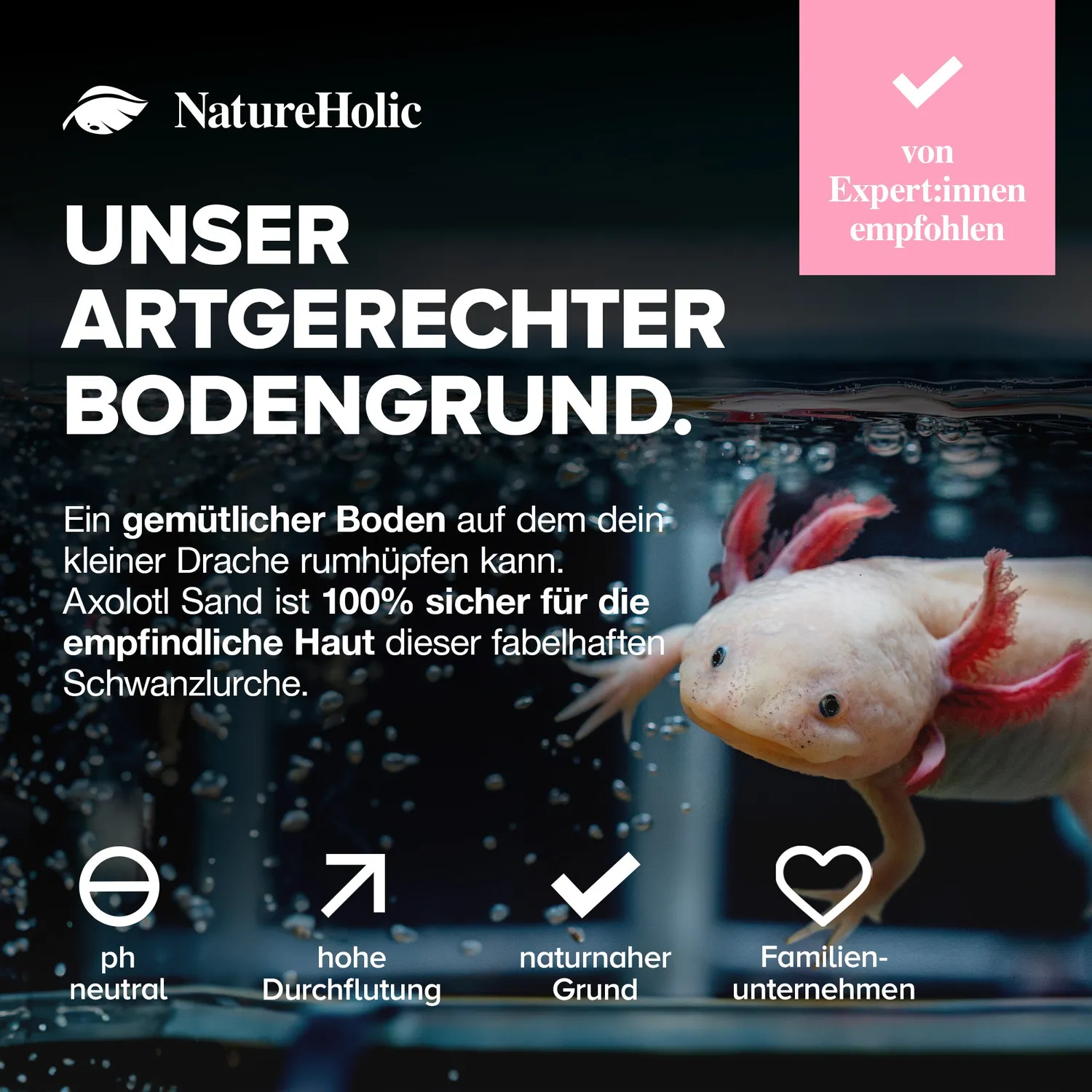 NatureHolic Axolotl Sand Natursand 10 kg 0,4-0,8 mm abgerundet