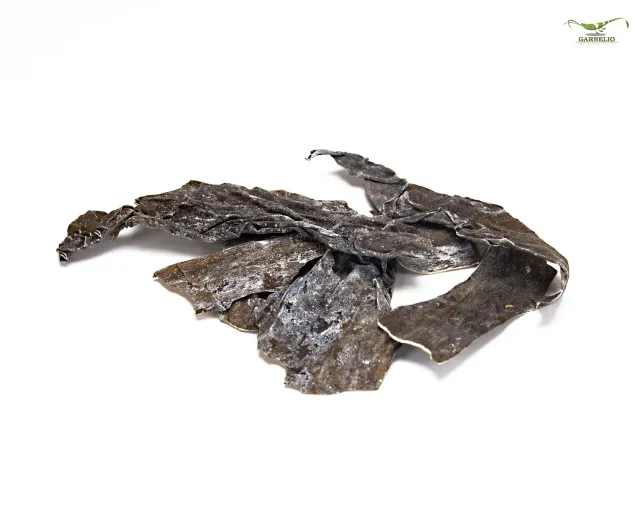 NatureHolic AlgaePlate Algenplatten 10g Naturbeschnitt Jod