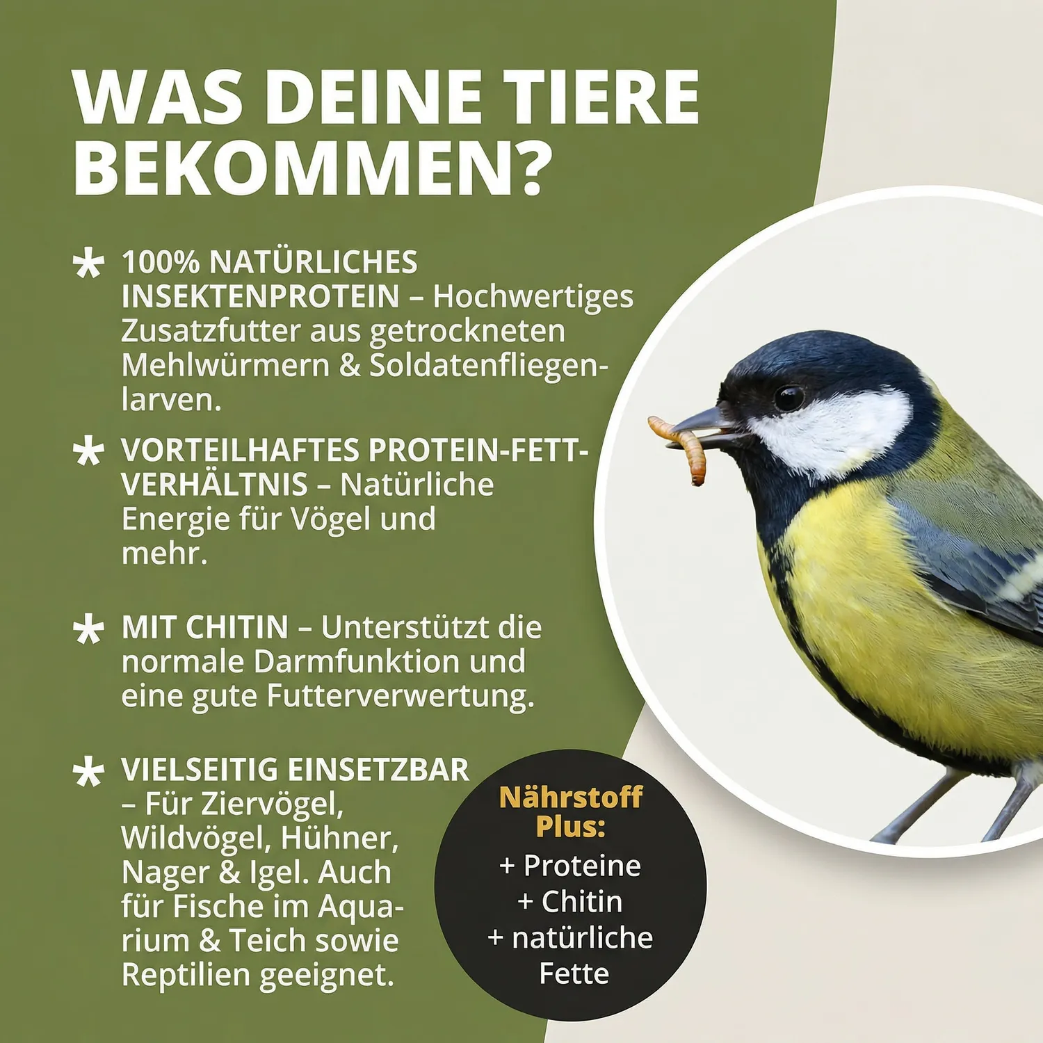NatureHolic Mehlwürmer Soldatenfliegen Mix Teichfutter 3 Liter proteinreich