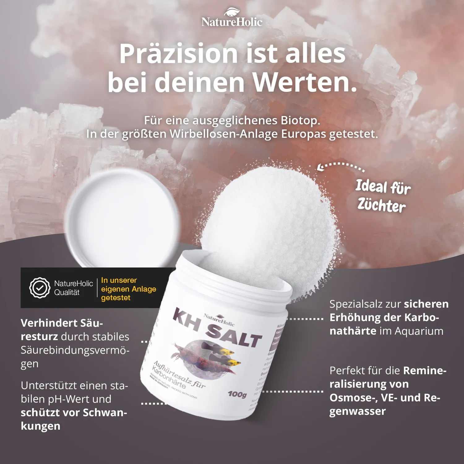 NatureHolic KH Salt Aufhärtesalz 500 g chloridreduziert