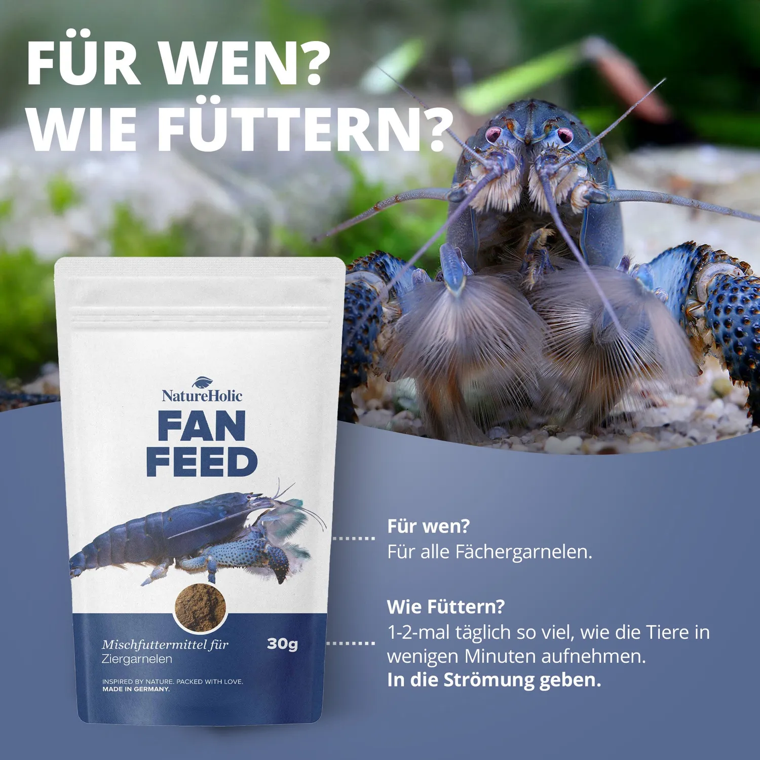 NatureHolic Fächerfeed Fächergarnelenfutter Staubfutter 30 g
