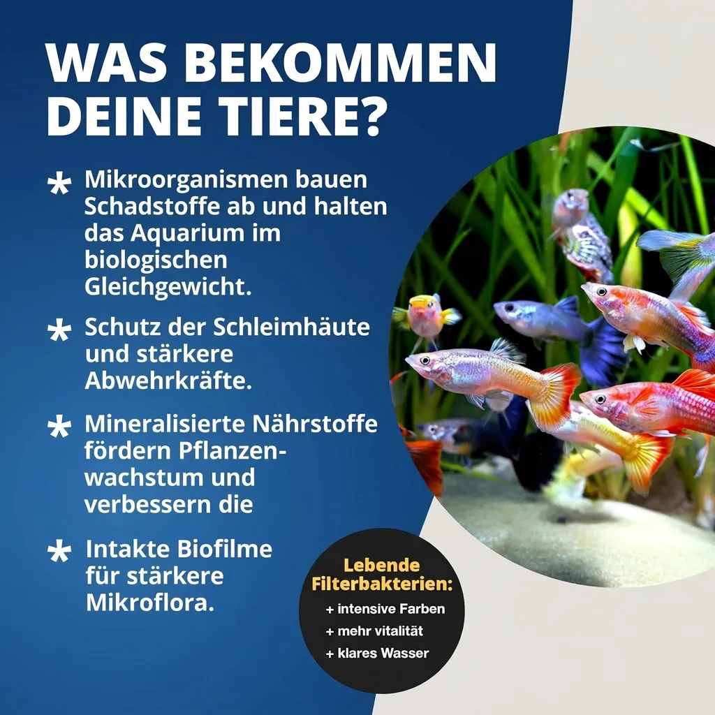 NatureHolic Bacter Liquid Filterstarterbakterien 125 ml flüssig