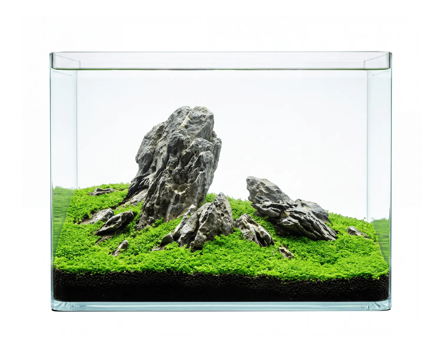 NatureHolic Curved Garden Tank Pico Aquarium 12 Liter