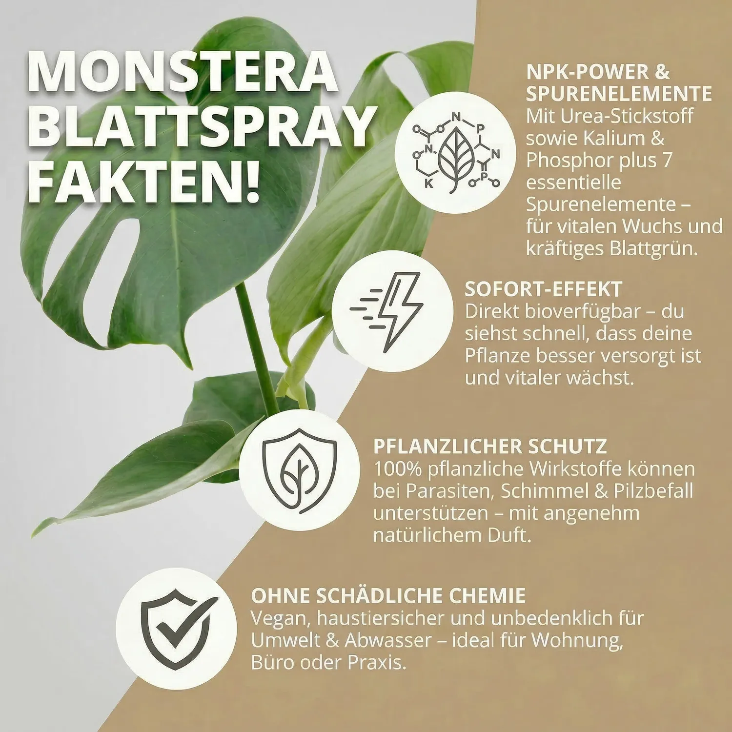 NatureHolic Blattpflege-Set Handschuhe + Spray 250ml