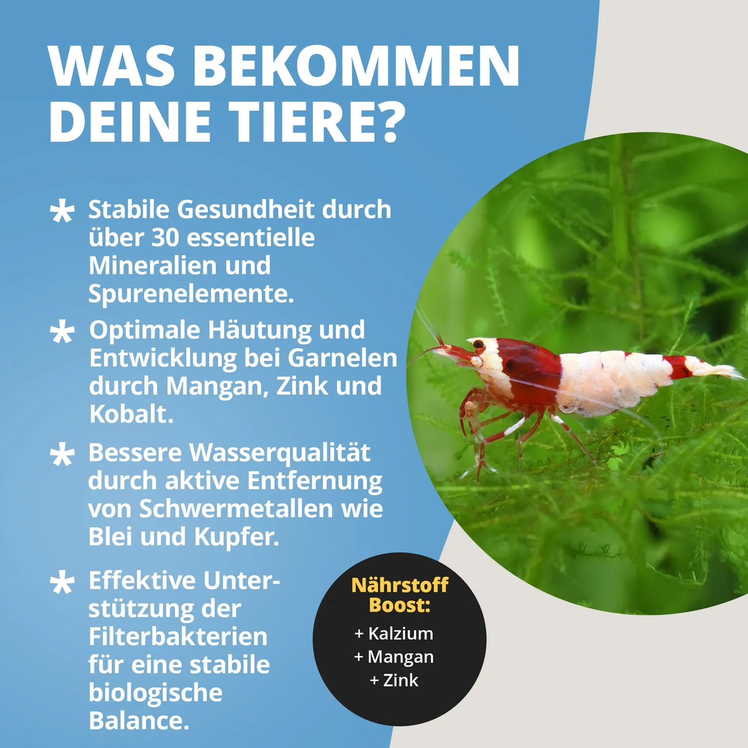 NatureHolic ToxEx Balls Wasseraufbereiter 60g Mineralien