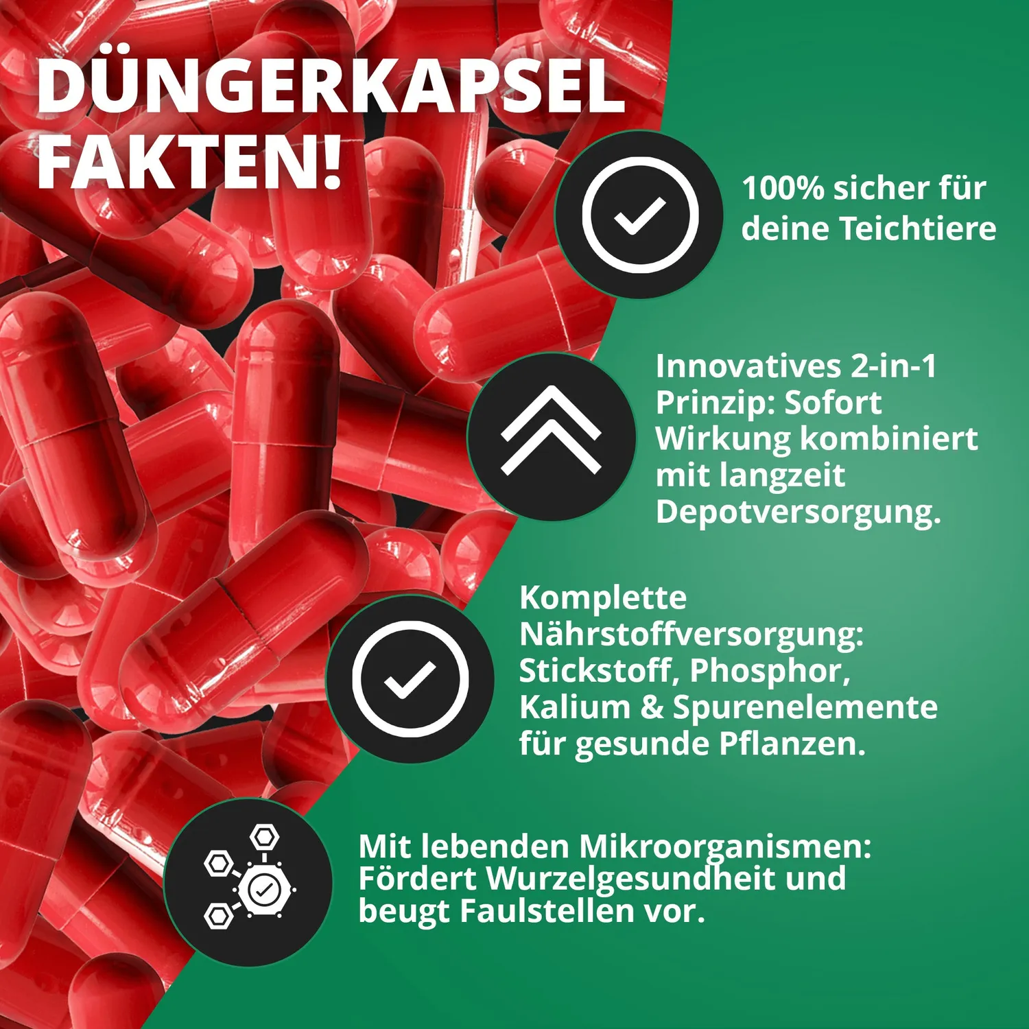 Teichzeit Seerosen Dünger Langzeitdünger 25 Stück Kapseln