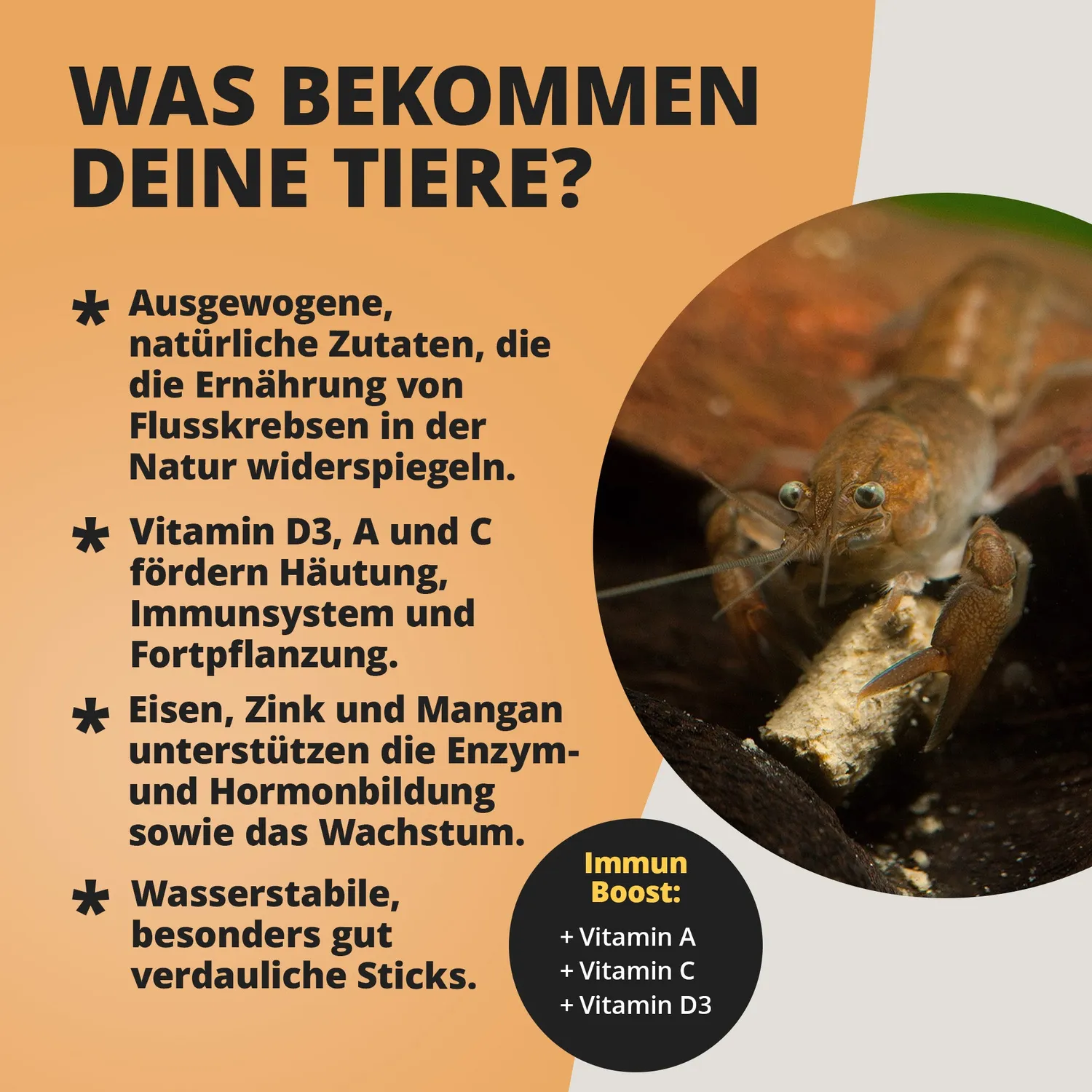 NatureHolic Krebsfeed Krebsfutter Sticks 30 g Chitin