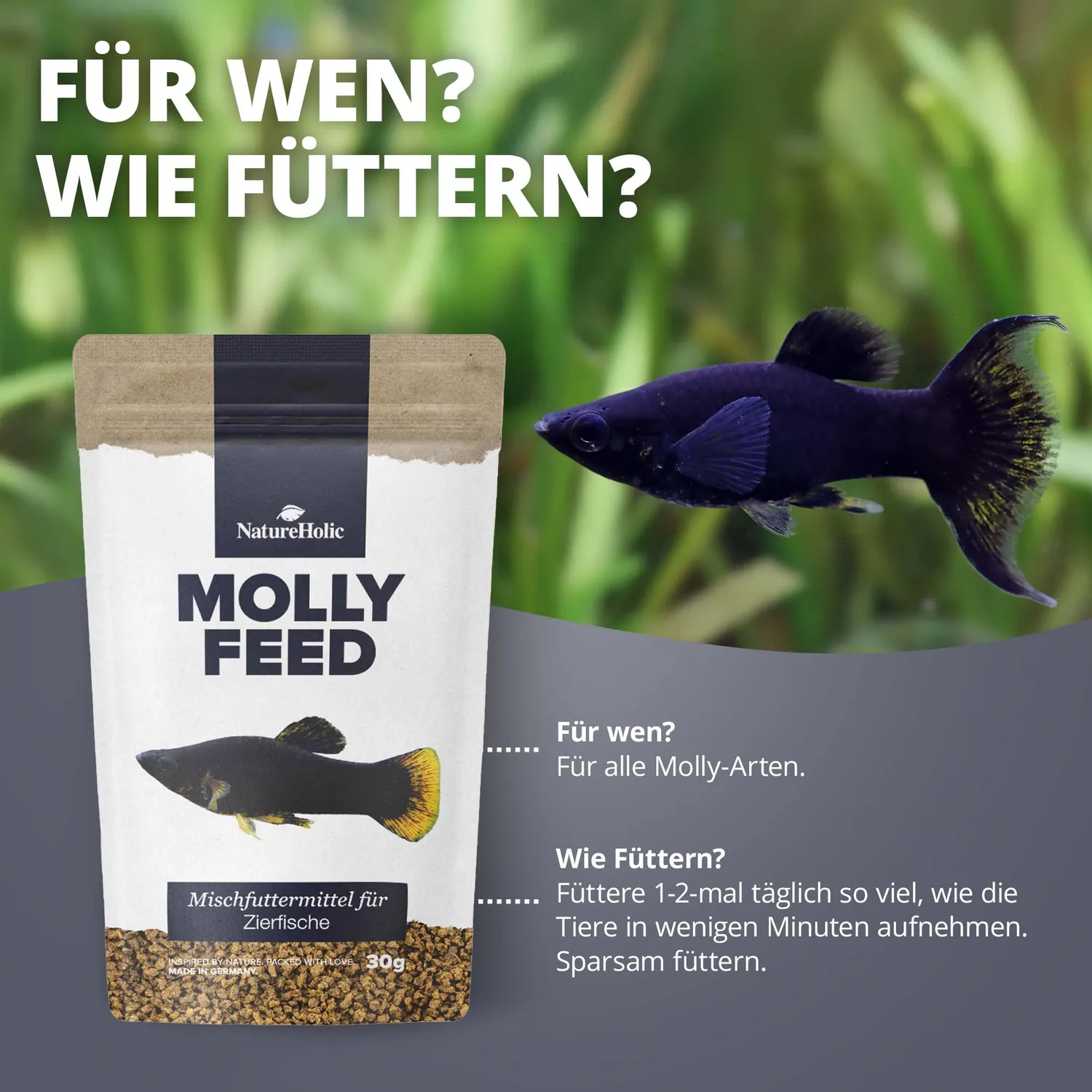 NatureHolic MollyFeed Molly Fischfutter 30g pflanzlich