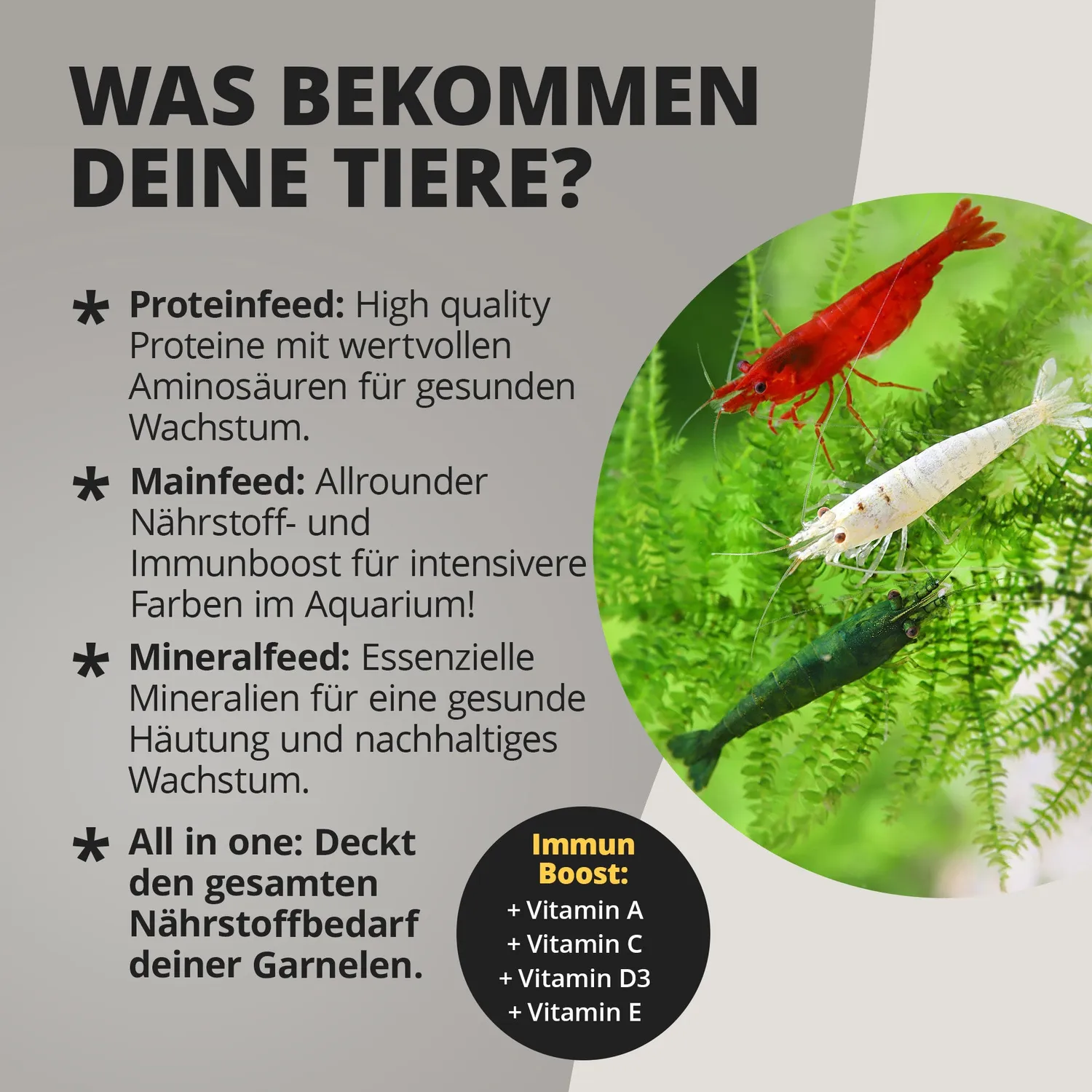 NatureHolic Futter Paket Garnelenfutter 3er-Set kaltgepresst stark