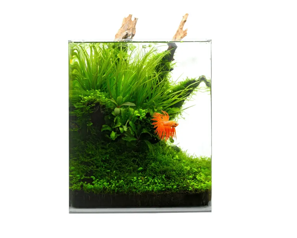 NatureHolic Crystal Clear Cube 60L Weißglas-Aquarium Abdeckung