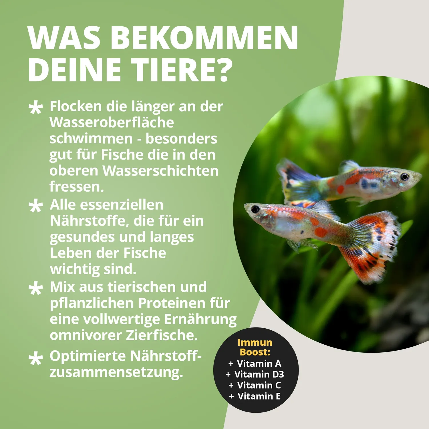 NatureHolic Hauptfeed Flocke Flockenfutter 10g für Allesfresser