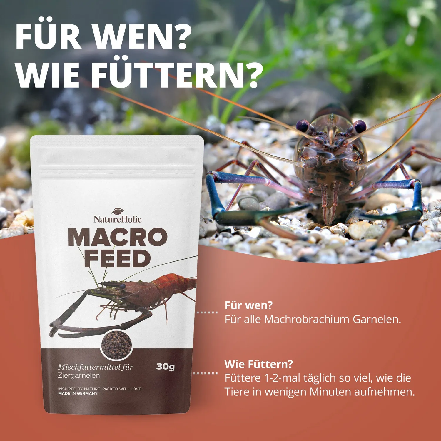 NatureHolic Macrofeed Großarmgarnelenfutter 30g
