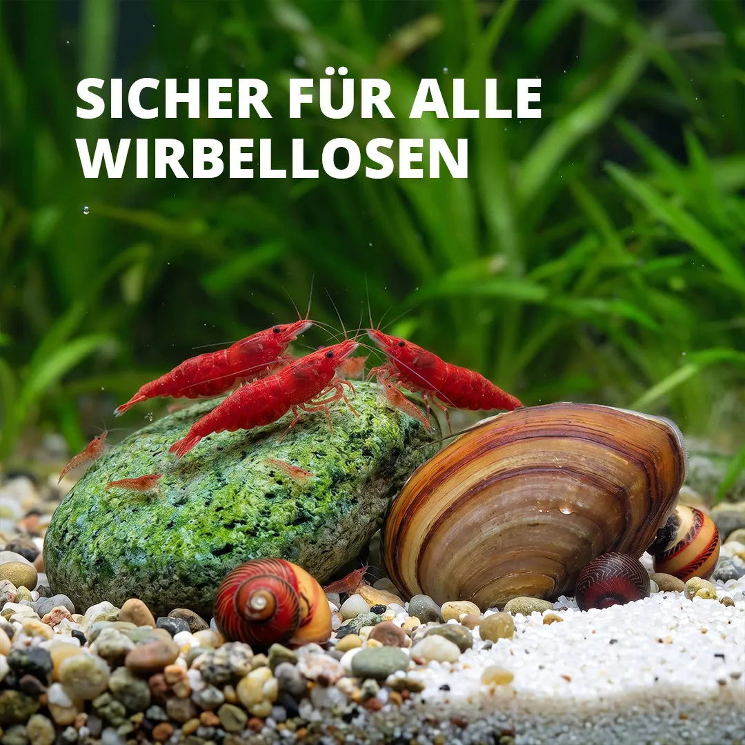 NatureHolic Algae Protect Algenentferner 500 ml natürlich