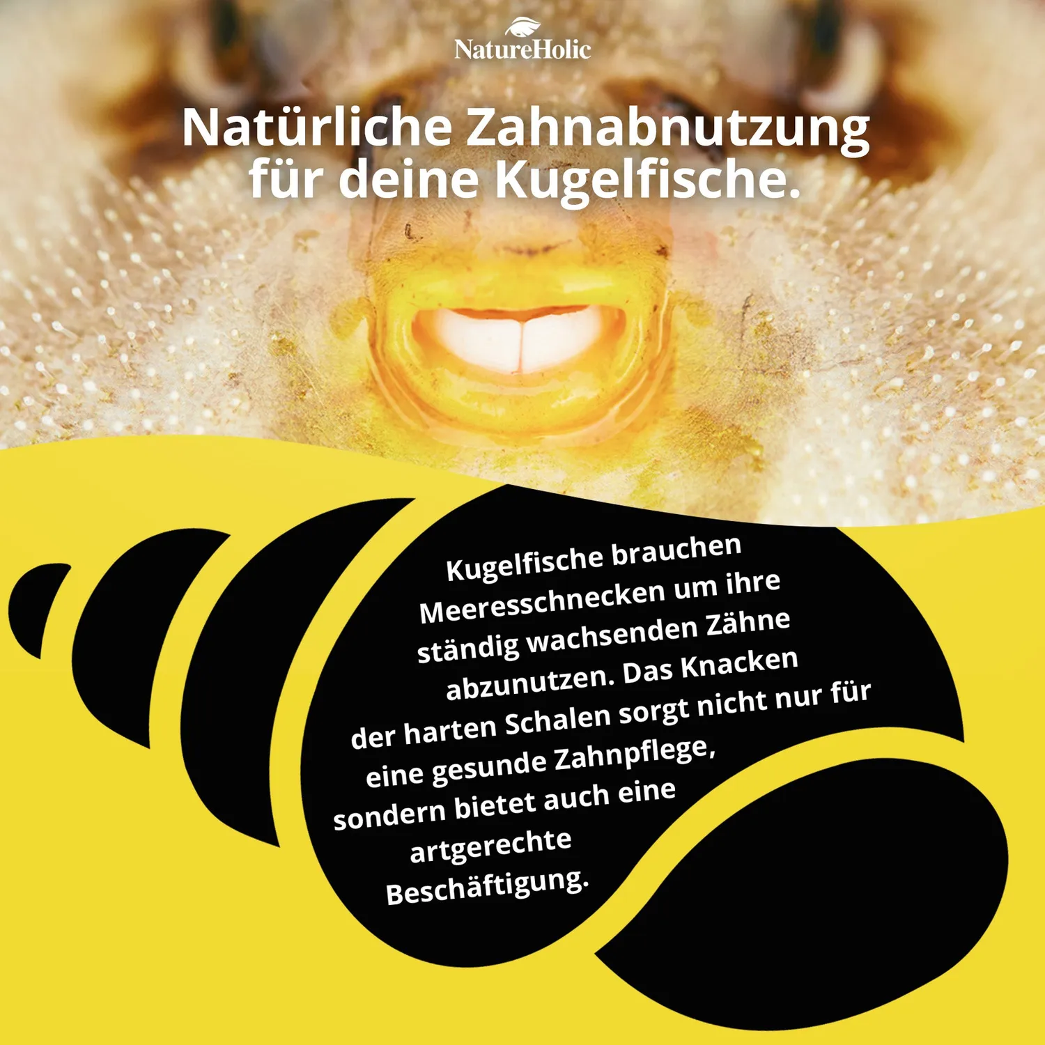 NatureHolic Pufferfeed Kugelfischfutter 30g Schnecken