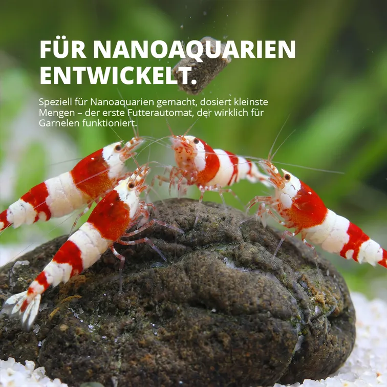NatureHolic Nano Feeder Futterautomat 5-200L