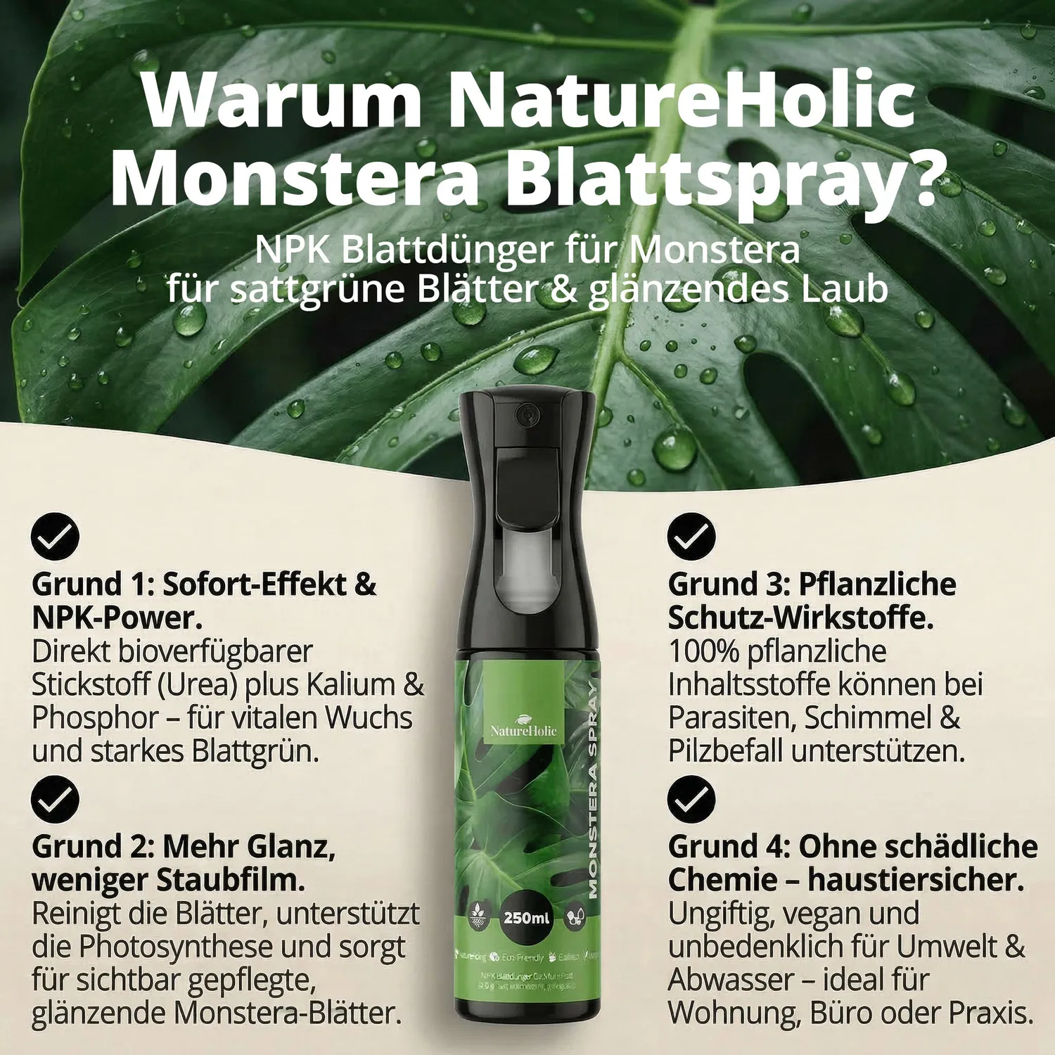 NatureHolic Blattpflege-Set Handschuhe + Spray 250ml