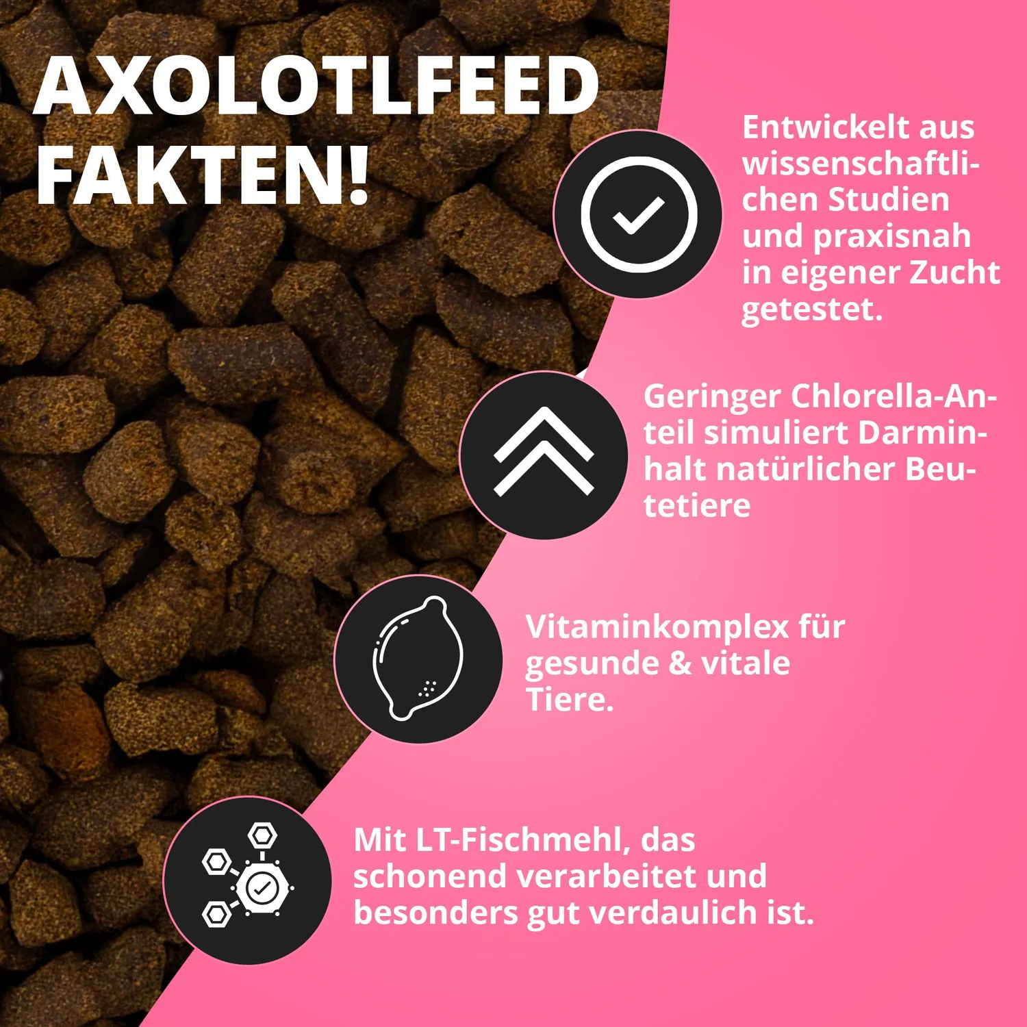 NatureHolic Axolotl Babyfeed Jungtier Softfutter Protein