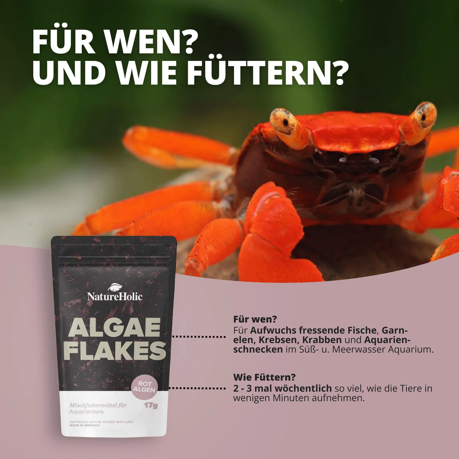 NatureHolic AlgaeFlakes Algenflocken 100 ml Rotalge Palmaria