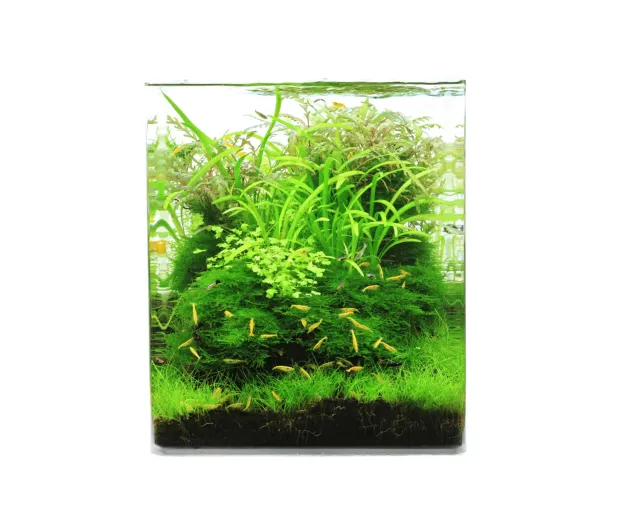 NatureHolic Crystal Clear Cube 30L Aquarium Weißglas mit Abdeckung