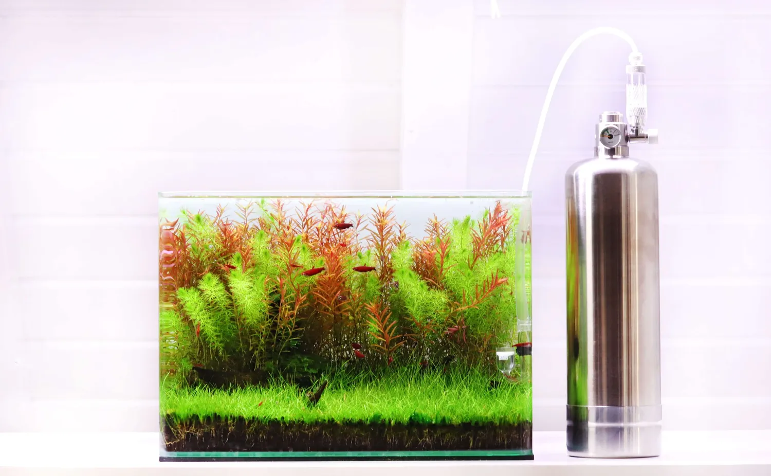 NatureHolic CO2 Generator Edelstahl-Anlage 2 Liter