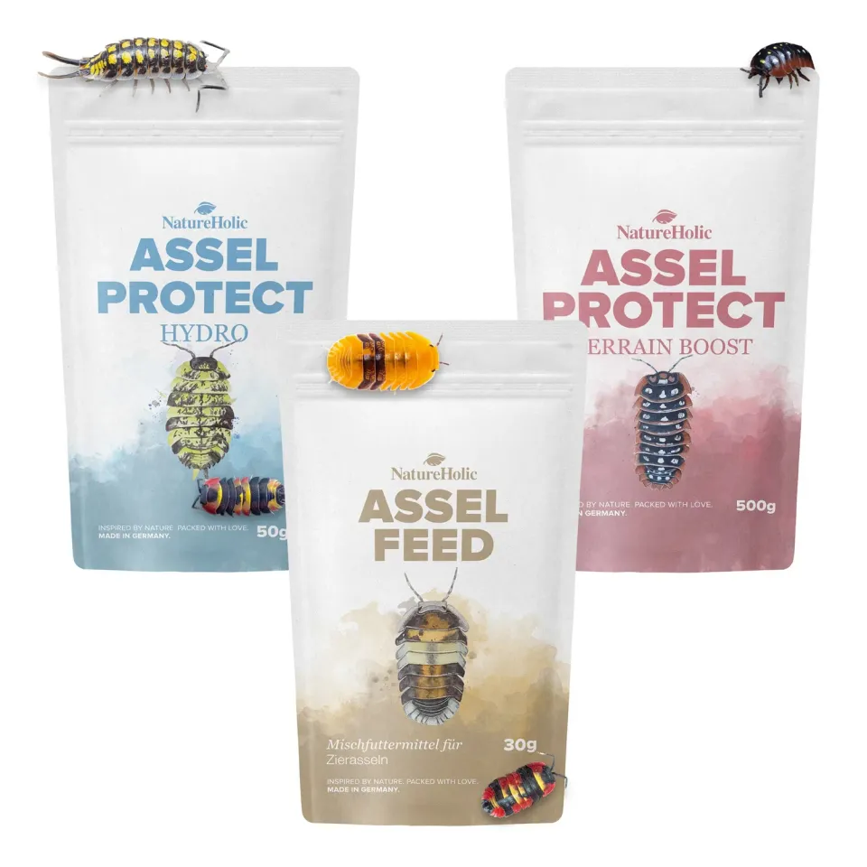 NatureHolic Assel Sorglos Paket Terrarium-Set 3-teilig Futter