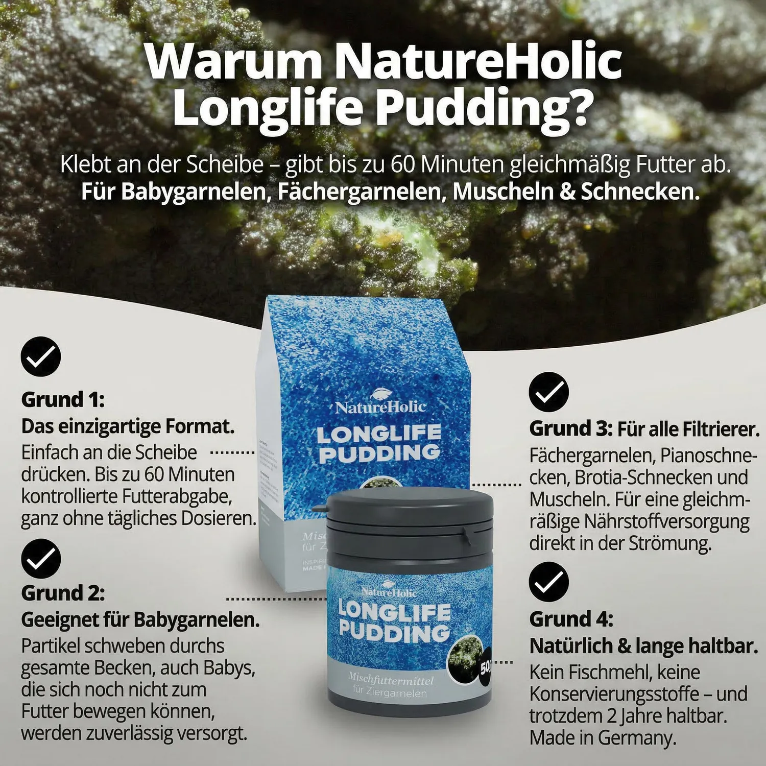 NatureHolic Longlife Pudding Garnelenfutter 50ml Haftfutter