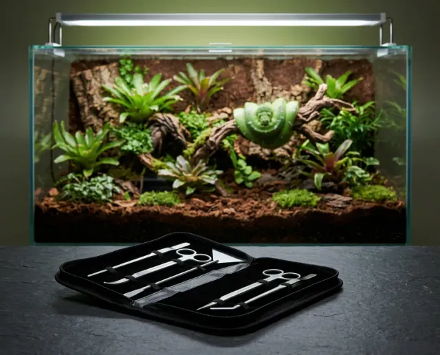 NatureHolic Terrarium Toolset Pflege-Set 5-teilig Edelstahl