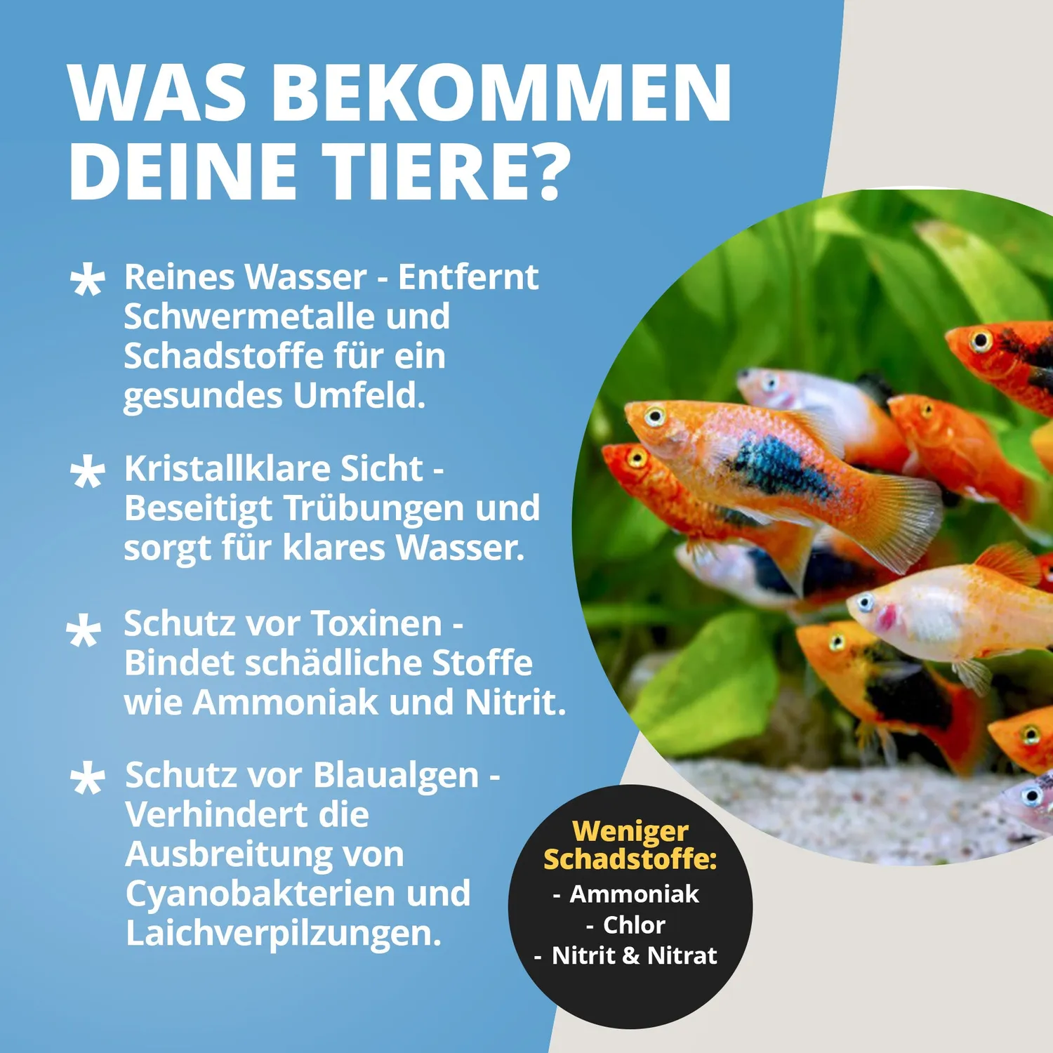 NatureHolic ToxEx Liquid Wasseraufbereiter 125 ml natürlich